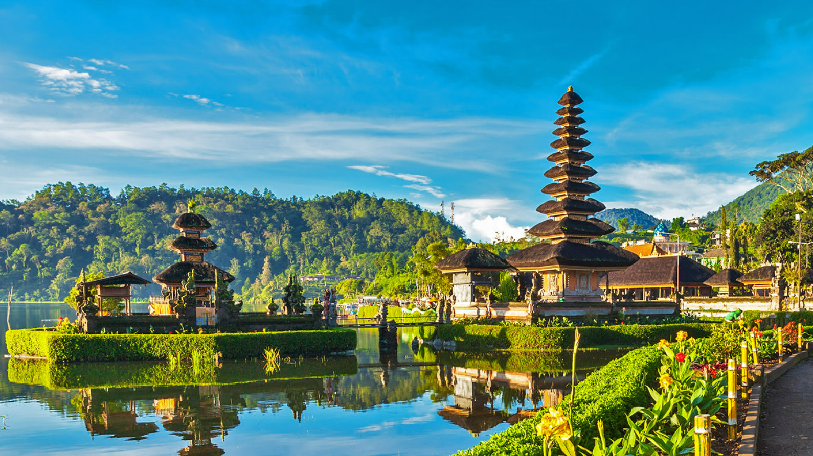 d45b4a59-2972-4ad9-b5af-cffc071ac65f